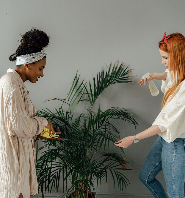 women cleaning a plant