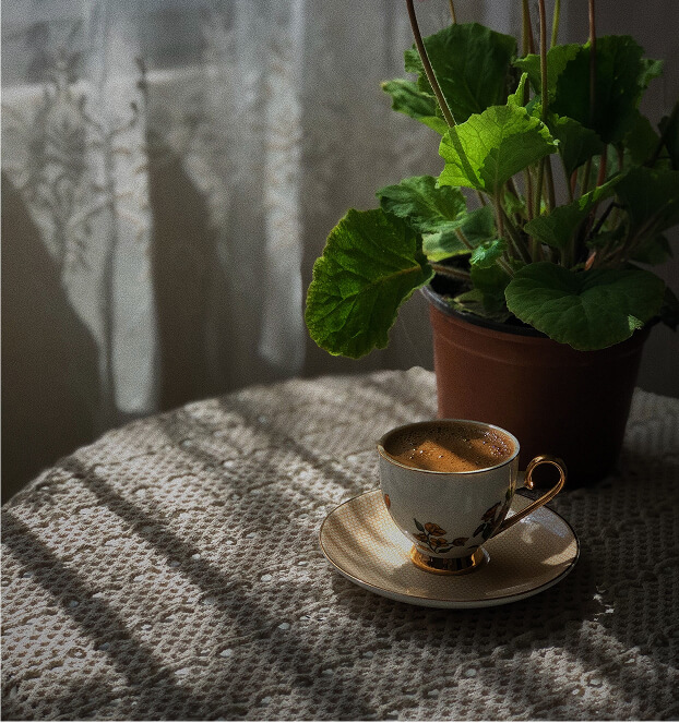 coffee and a plant