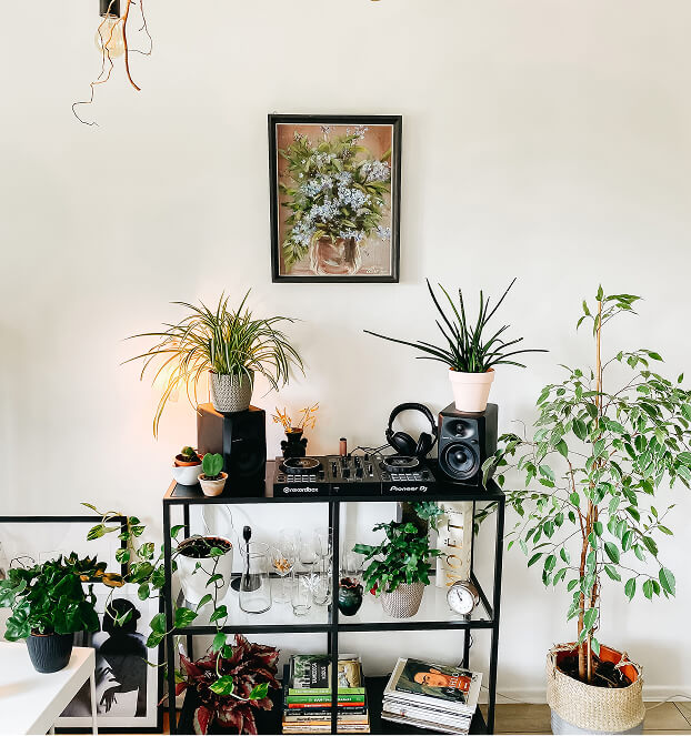 plants
